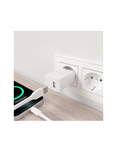 AISENS A110-0853 cargador de dispositivo móvil Universal Corriente alterna Interior