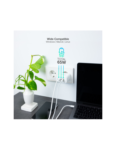 TooQ Cargador de Pared GaN 2USB-C/PD + USB-A/QC 65W, Blanco
