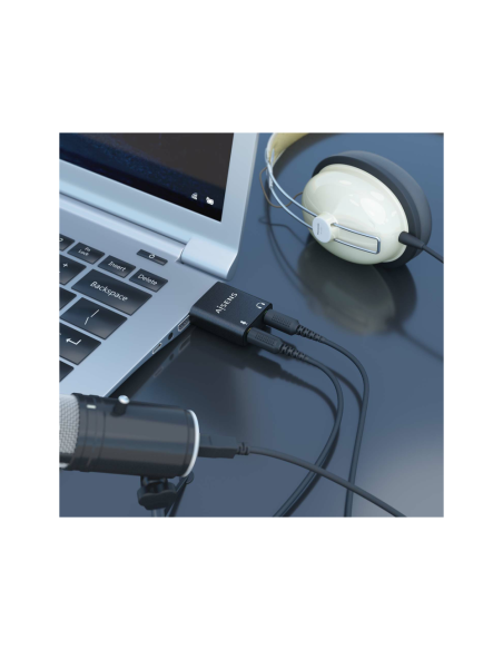 AISENS A106-0768 cambiador de género para cable 2x 3.5 mm