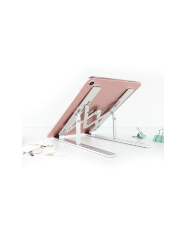 TooQ TQLRS0033-AL soporte para ordenador portátil Soporte para ordenador portátil y tableta Plata 38,1 cm (15")