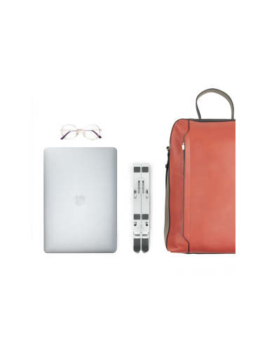 TooQ TQLRS0033-AL soporte para ordenador portátil Soporte para ordenador portátil y tableta Plata 38,1 cm (15")