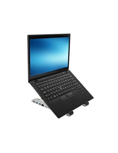 Targus AWU100005GL soporte para ordenador portátil Plata 39,6 cm (15.6")