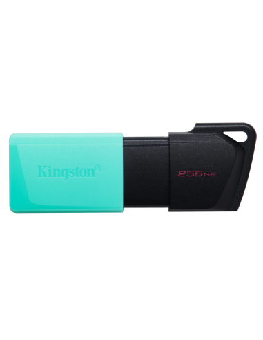 Kingston Technology DataTraveler 256GB USB3.2 Gen1 Exodia M (Negro + Turquesa)