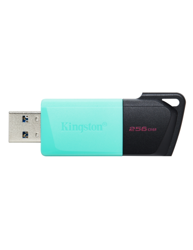 Kingston Technology DataTraveler 256GB USB3.2 Gen1 Exodia M (Negro + Turquesa)