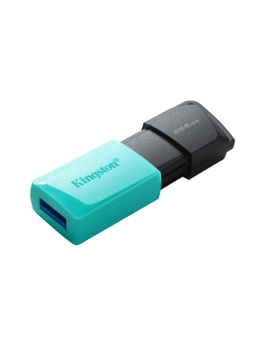 Kingston Technology DataTraveler 256GB USB3.2 Gen1 Exodia M (Negro + Turquesa)