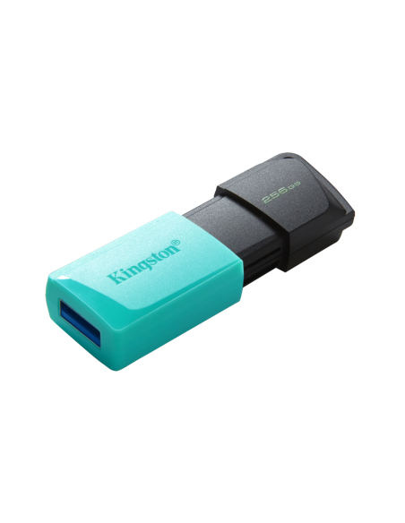 Kingston Technology DataTraveler 256GB USB3.2 Gen1 Exodia M (Negro + Turquesa)