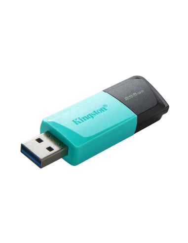 Kingston Technology DataTraveler 256GB USB3.2 Gen1 Exodia M (Negro + Turquesa)