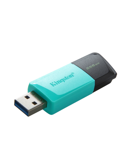 Kingston Technology DataTraveler 256GB USB3.2 Gen1 Exodia M (Negro + Turquesa)