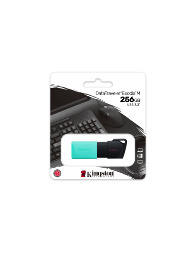 Kingston Technology DataTraveler 256GB USB3.2 Gen1 Exodia M (Negro + Turquesa)