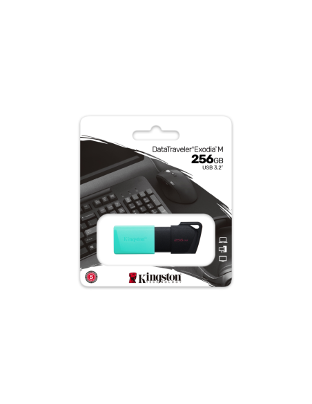 Kingston Technology DataTraveler 256GB USB3.2 Gen1 Exodia M (Negro + Turquesa)