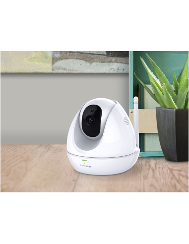 TP-Link NC450 cámara de vigilancia Esférico Cámara de seguridad IP Interior 1280 x 720 Pixeles Techo