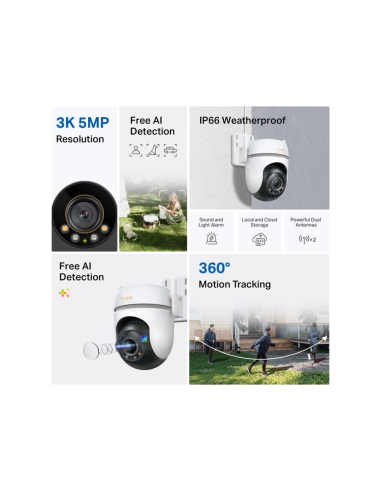 TP-Link Tapo TC43(EU) V2 Esférico Cámara de seguridad IP Interior y exterior 2880 x 1620 Pixeles Techo/Pared/Poste