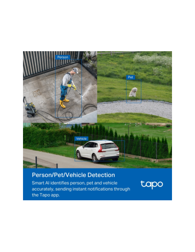 TP-Link Tapo TC43(EU) V2 Esférico Cámara de seguridad IP Interior y exterior 2880 x 1620 Pixeles Techo/Pared/Poste