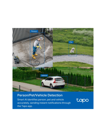 TP-Link Tapo TC43(EU) V2 Esférico Cámara de seguridad IP Interior y exterior 2880 x 1620 Pixeles Techo/Pared/Poste