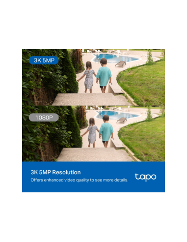 TP-Link Tapo TC43(EU) V2 Esférico Cámara de seguridad IP Interior y exterior 2880 x 1620 Pixeles Techo/Pared/Poste