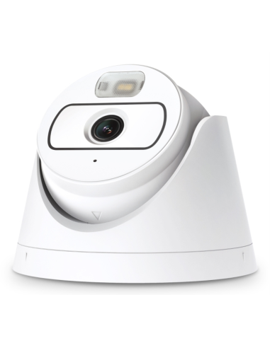 TP-Link EasyCam C420 Almohadilla Cámara de seguridad IP Exterior 1920 x 1080 Pixeles Techo/Pared/Poste