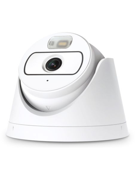 TP-Link EasyCam C420 Almohadilla Cámara de seguridad IP Exterior 1920 x 1080 Pixeles Techo/Pared/Poste