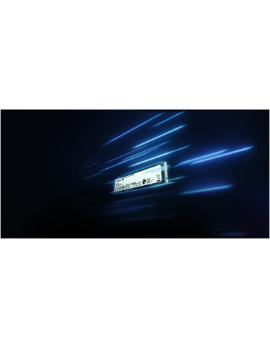 Kingston Technology NV2 500 GB M.2 PCI Express 4.0 NVMe 3D NAND