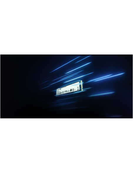 Kingston Technology NV2 500 GB M.2 PCI Express 4.0 NVMe 3D NAND