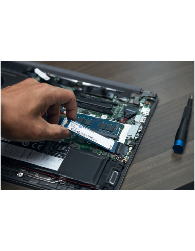 Kingston Technology NV2 2 TB M.2 PCI Express 4.0 NVMe 3D NAND