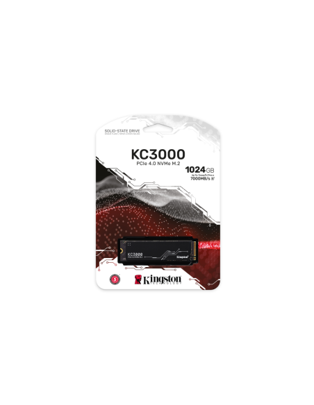 Kingston Technology 1024G KC3000 M.2 2280 NVMe SSD