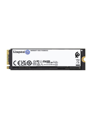 Kingston Technology 2000G FURY RENEGADE M.2 2280 NVMe SSD