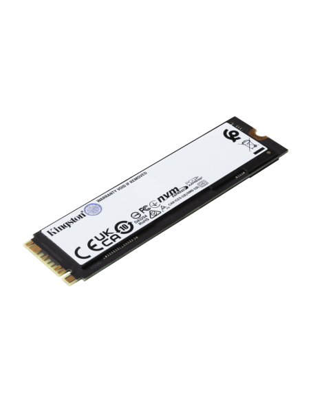 Kingston Technology 2000G FURY RENEGADE M.2 2280 NVMe SSD