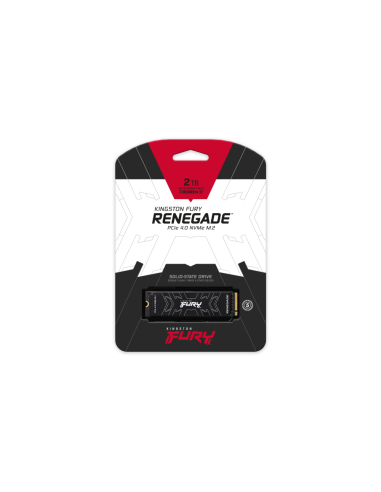 Kingston Technology 2000G FURY RENEGADE M.2 2280 NVMe SSD