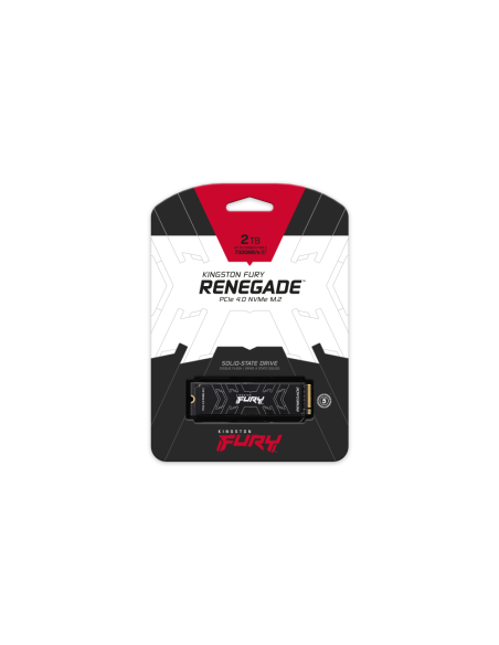 Kingston Technology 2000G FURY RENEGADE M.2 2280 NVMe SSD