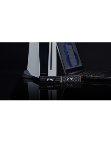 Kingston Technology 2000G FURY RENEGADE M.2 2280 NVMe SSD