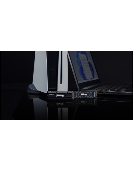 Kingston Technology 2000G FURY RENEGADE M.2 2280 NVMe SSD