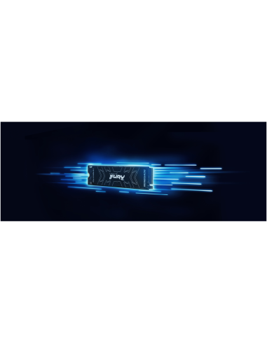 Kingston Technology 2000G FURY RENEGADE M.2 2280 NVMe SSD