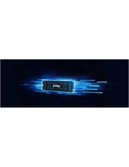 Kingston Technology 2000G FURY RENEGADE M.2 2280 NVMe SSD