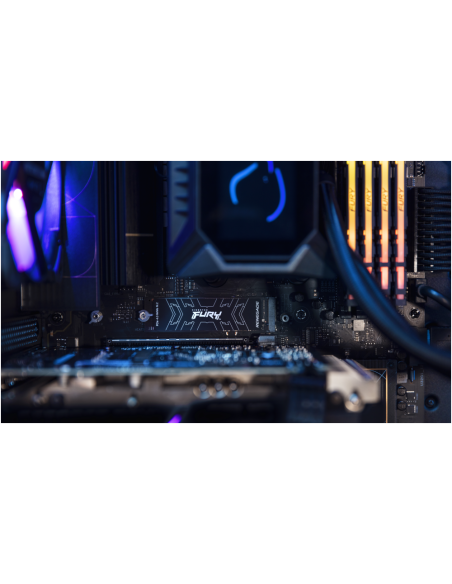 Kingston Technology 2000G FURY RENEGADE M.2 2280 NVMe SSD