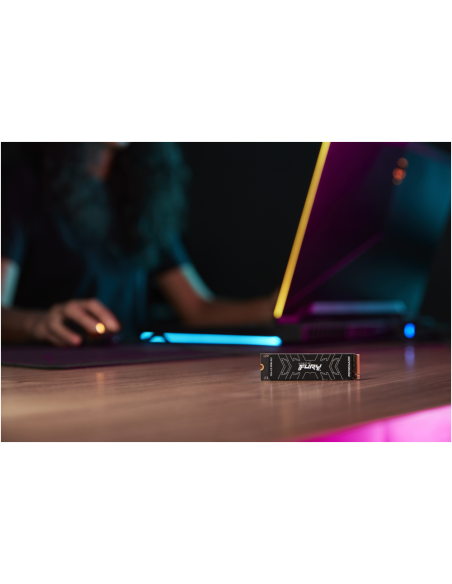 Kingston Technology 2000G FURY RENEGADE M.2 2280 NVMe SSD