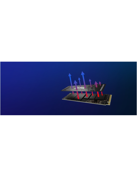 Kingston Technology 2000G FURY RENEGADE M.2 2280 NVMe SSD