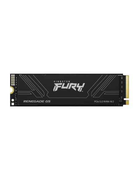 Kingston Technology 1T FURY RENEGADE G5 M.2 2280 NVMe SSD