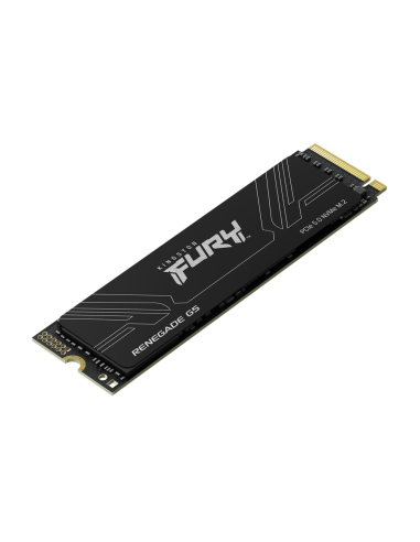 Kingston Technology 1T FURY RENEGADE G5 M.2 2280 NVMe SSD