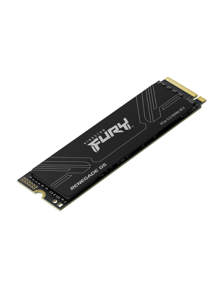 Kingston Technology 1T FURY RENEGADE G5 M.2 2280 NVMe SSD