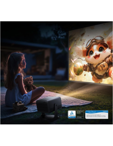 Hisense C2 Smart TV Wifi Gris