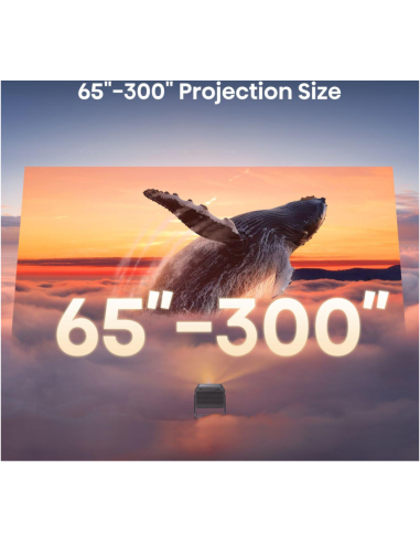 Hisense C2 Smart TV Wifi Gris