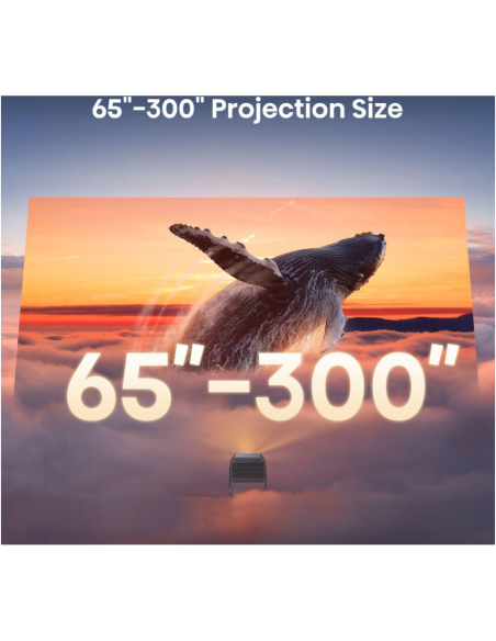 Hisense C2 Smart TV Wifi Gris