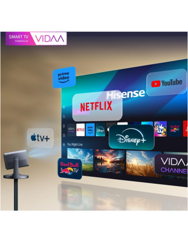 Hisense C2 Smart TV Wifi Gris