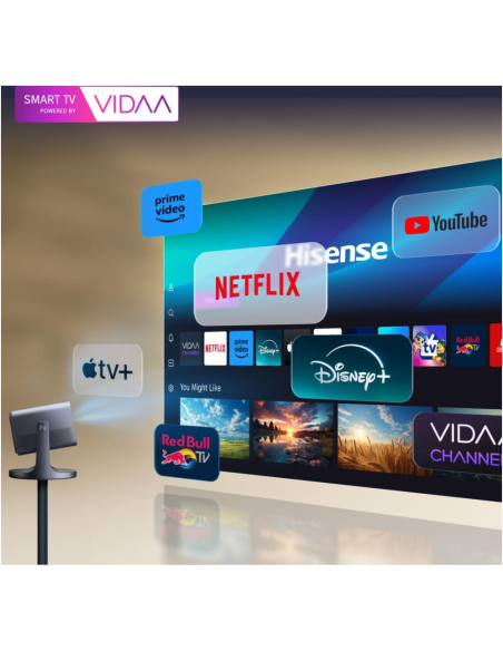 Hisense C2 Smart TV Wifi Gris