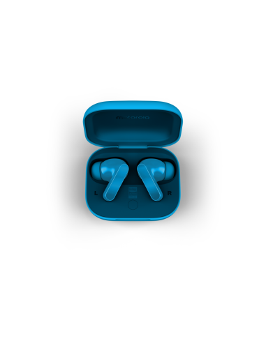 Motorola Moto Buds Bass Auriculares True Wireless Stereo (TWS) Dentro de oído Llamadas/Música Bluetooth Azul
