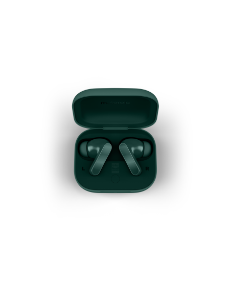 Motorola Moto Buds Bass Auriculares True Wireless Stereo (TWS) Dentro de oído Llamadas/Música Bluetooth Verde