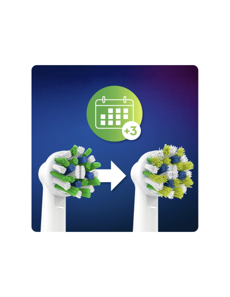 Oral-B CrossAction 80339345 cepillo de cabello 6 pieza(s) Azul, Verde, Blanco