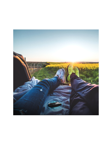 TP-Link M7010 router de telefonía/puerta de enlace/módem Router de red móvil