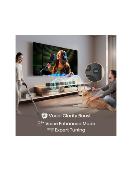 Hisense HS1000 Negro 2.0 canales 120 W