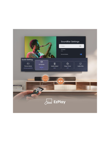 Hisense HS1000 Negro 2.0 canales 120 W